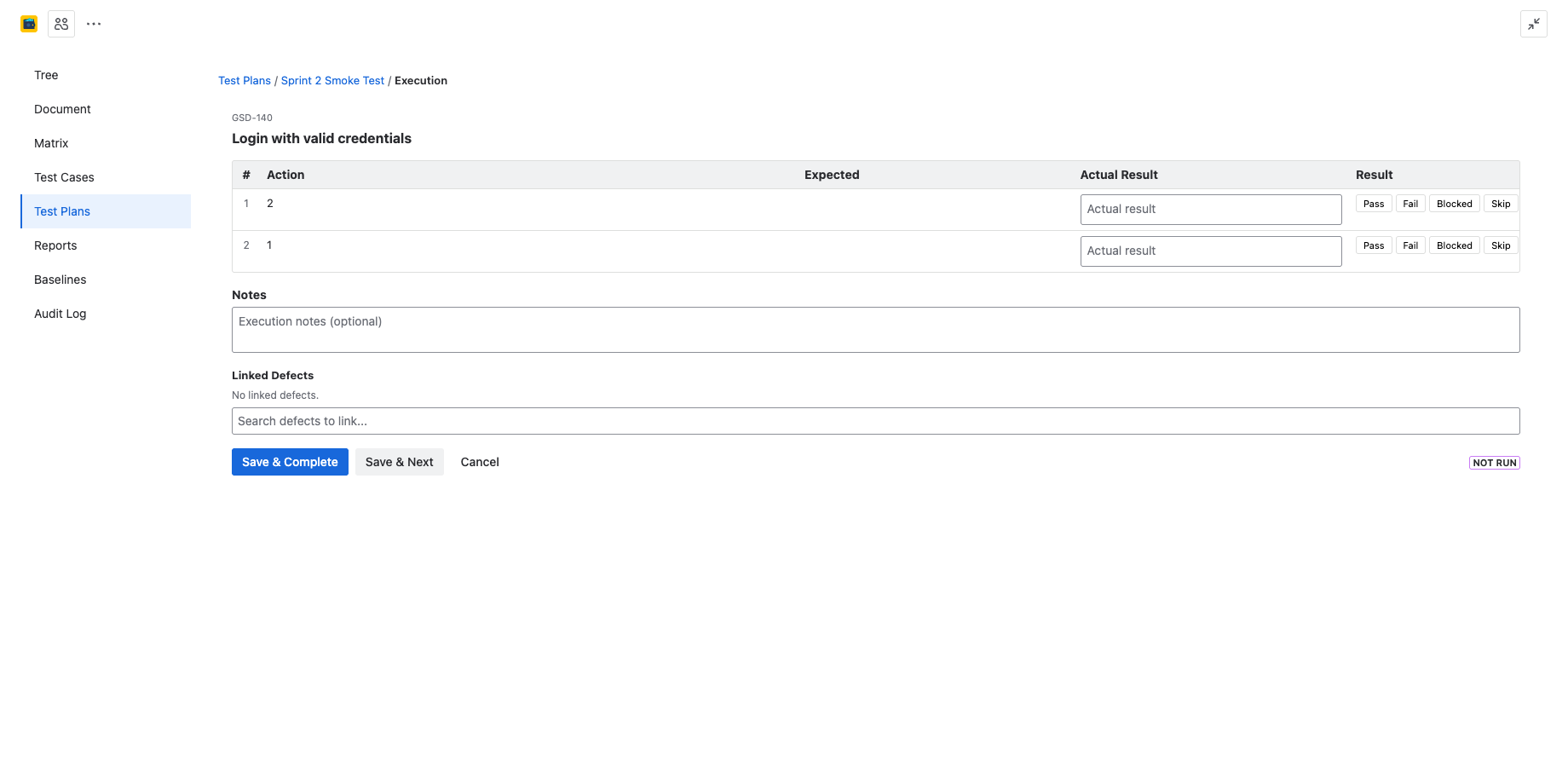 Execution runner showing test steps with Action, Expected, Actual Result columns and Pass/Fail/Blocked/Skip buttons per step