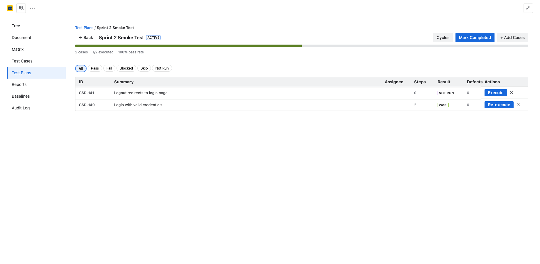 Test plan detail view showing progress bar, filter buttons, test cases with Execute and Re-execute actions, and Cycles button